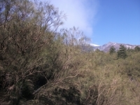 nte Fontane-01042012 111